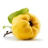به تازه اصفهان کیلویی